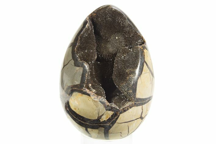 Septarian Dragon Egg Geode - Black Crystals #304614